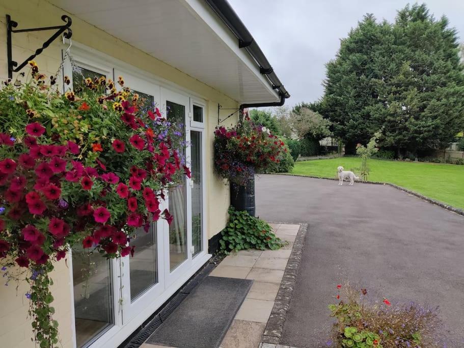 Villa The Nook Located In A Beautiful Garden Setting With Parking Stratford-upon-Avon Exterior foto